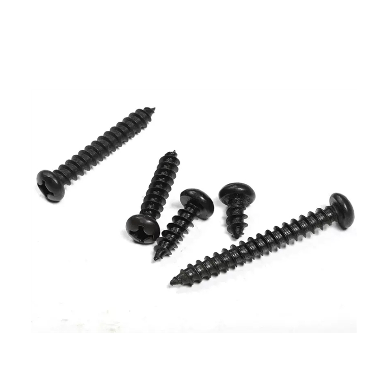 Round Philips Head Screw4