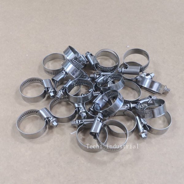 Worm drive Germany type hose clamp (1)